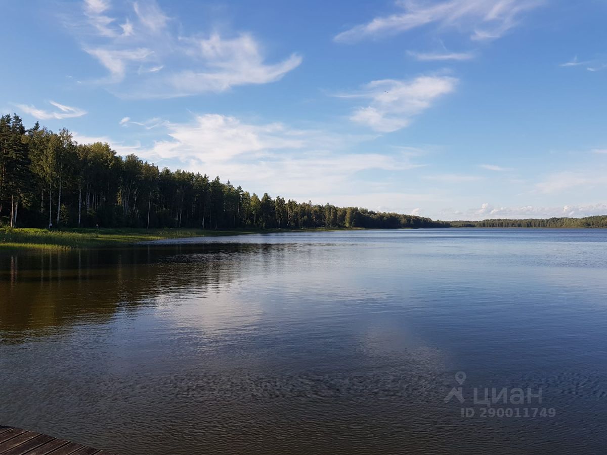 Купить земельный участок в СНТ Гармония в городском поселении Приморское,  продажа земельных участков - база объявлений Циан. Найдено 10 объявлений