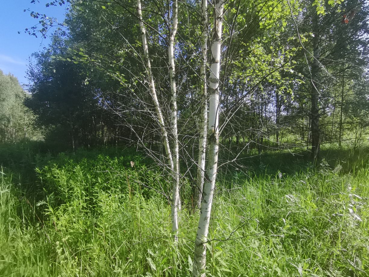 Купить загородную недвижимость в СНТ Геликоптер городского округа Ступино,  продажа загородной недвижимости - база объявлений Циан. Найдено 1 объявление