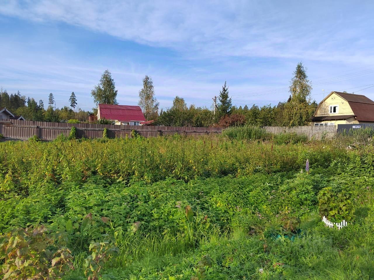 Купить земельный участок в СНТ Глухово городского округа Рузского, продажа  земельных участков - база объявлений Циан. Найдено 1 объявление