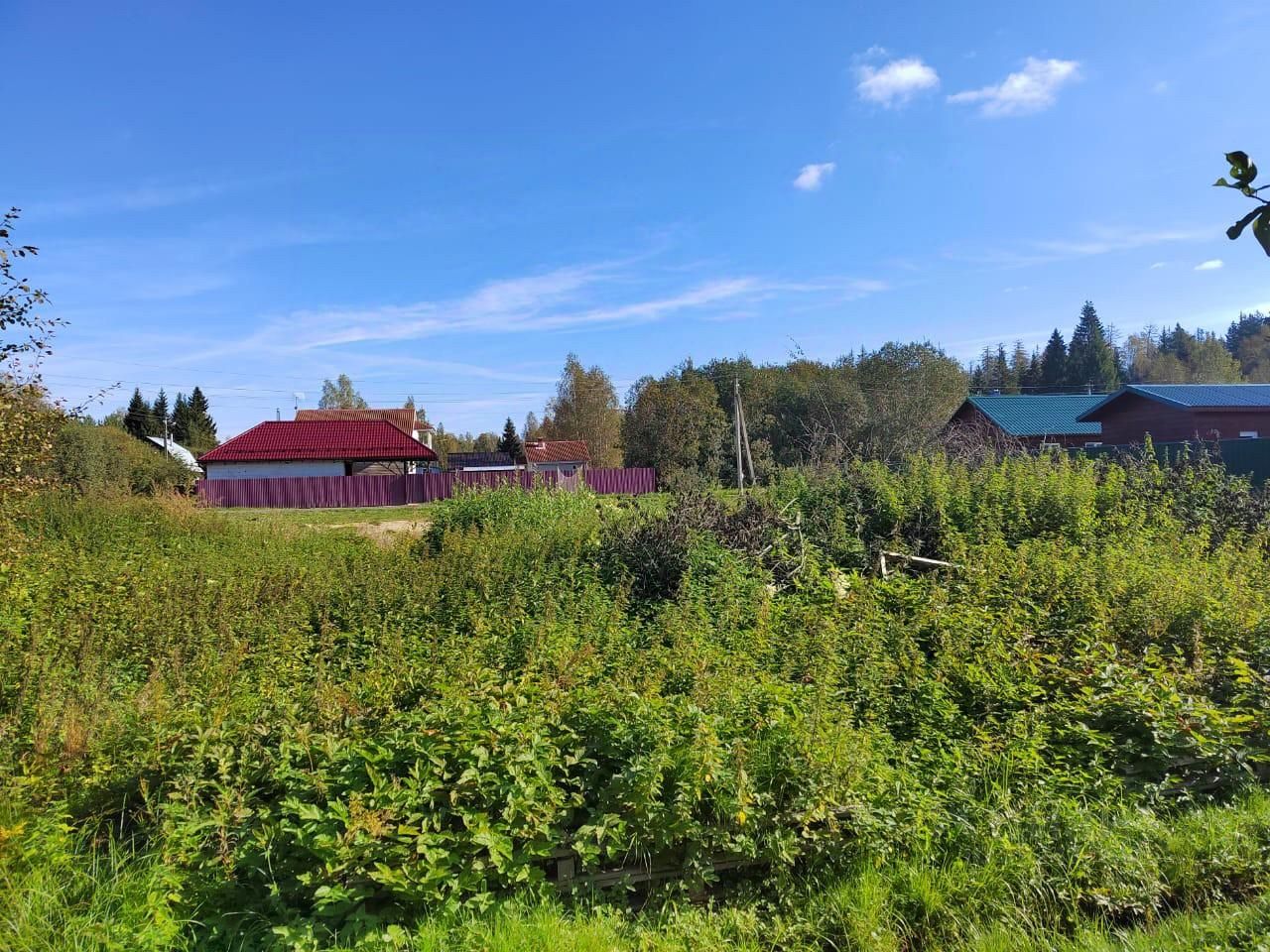 Купить земельный участок в СНТ Глухово городского округа Рузского, продажа  земельных участков - база объявлений Циан. Найдено 1 объявление