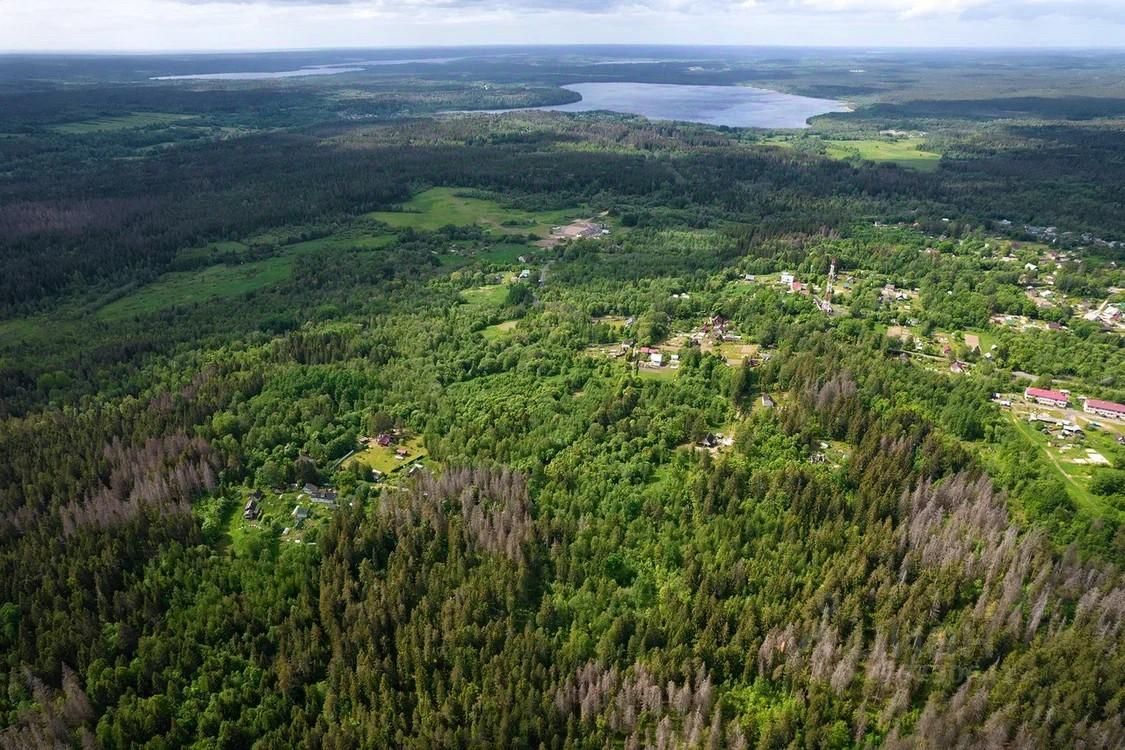 Купить загородную недвижимость в поселке Горьковское Выборгского района,  продажа загородной недвижимости - база объявлений Циан. Найдено 7 объявлений