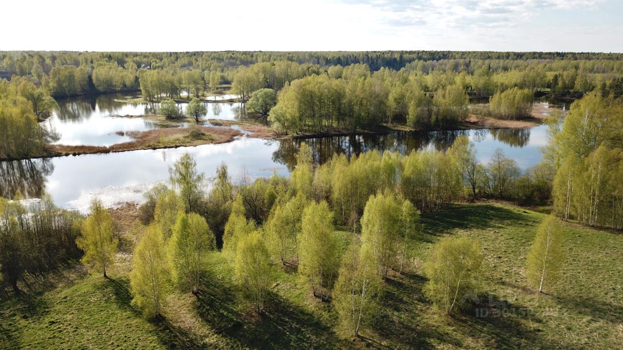 Купить земельный участок в Некоузском районе Ярославской области, продажа  земельных участков - база объявлений Циан. Найдено 32 объявления