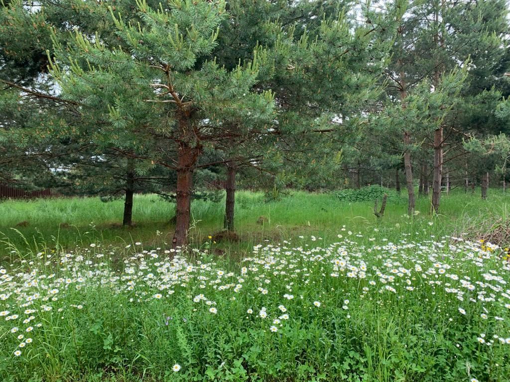 Купить земельный участок в коттеджном поселке Грин парк-2 в деревне  Бекетово, продажа земельных участков - база объявлений Циан. Найдено 3  объявления