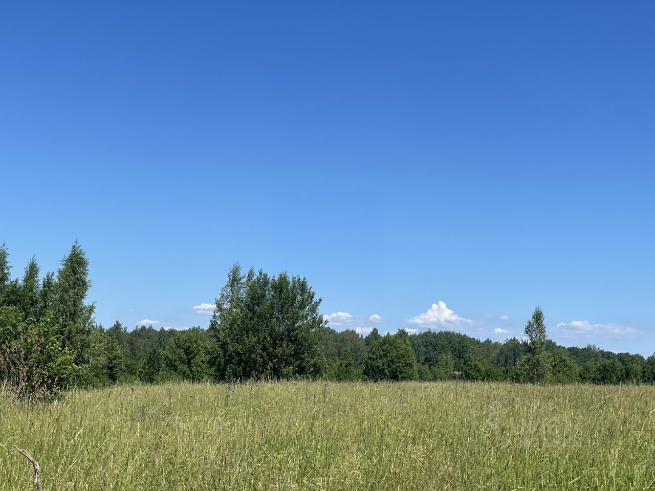 Купить загородную недвижимость в коттеджном поселке Гринфилд энд Форест в  сельском поселении Пениковское, продажа загородной недвижимости - база  объявлений Циан. Найдено 2 объявления