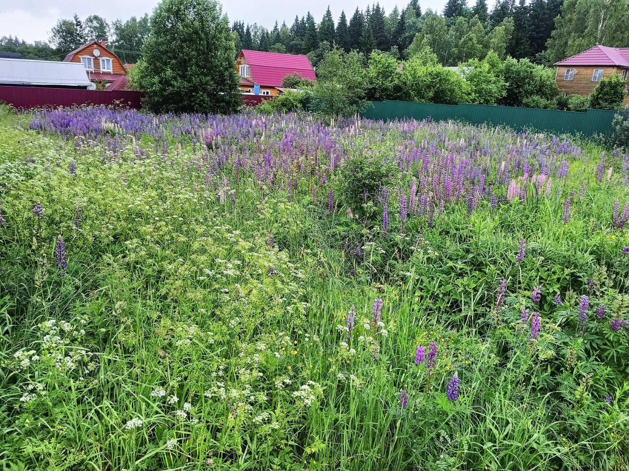 Купить загородную недвижимость в СНТ Холмец городского округа Можайского,  продажа загородной недвижимости - база объявлений Циан. Найдено 2 объявления