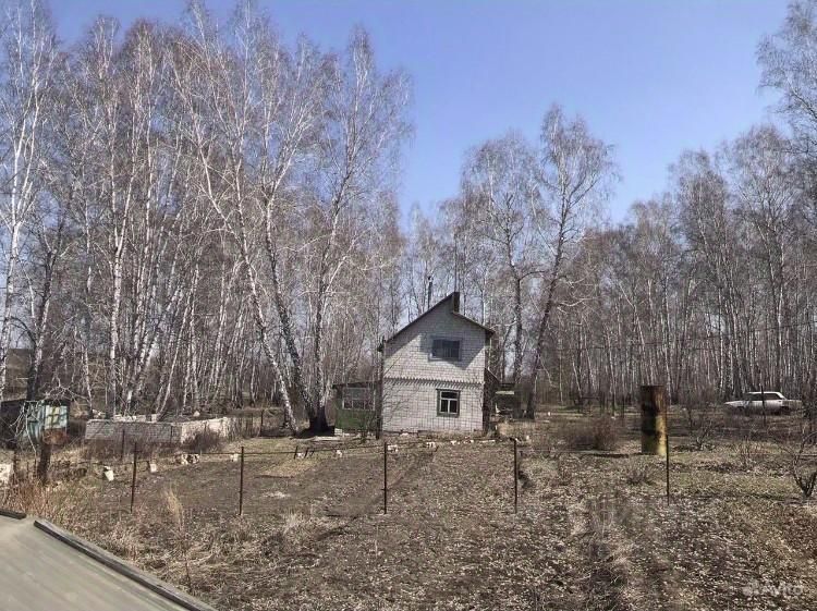 Участок в Барнауле с домом, окружённый берёзовым лесом. Идеально для уединённого отдыха на природе.