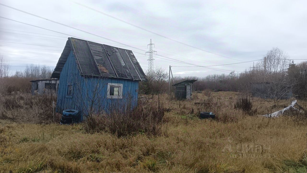 Купить загородную недвижимость в Ивангороде, продажа загородной  недвижимости - база объявлений Циан. Найдено 7 объявлений