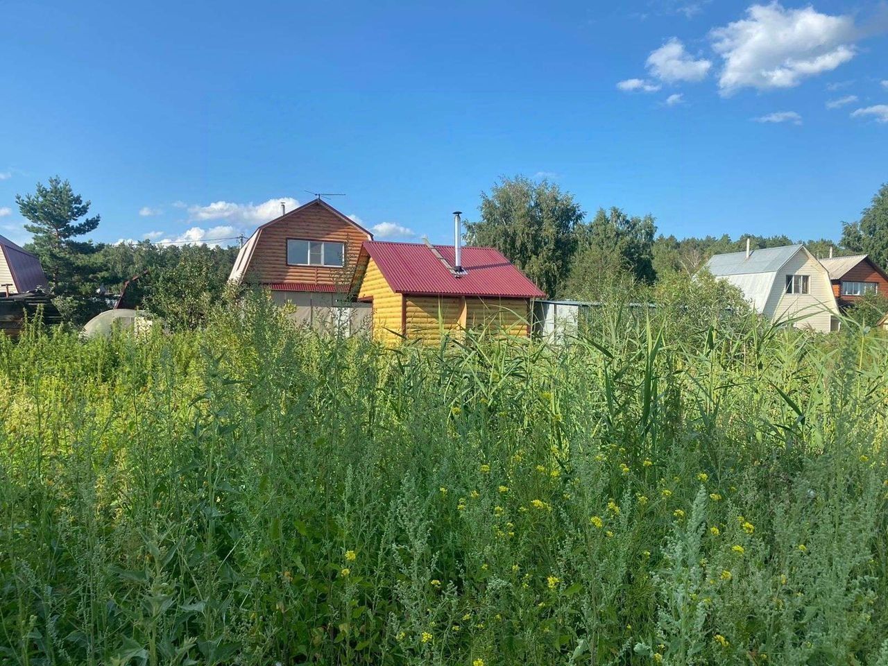 На фотографии представлены загородные дома с архитектурным стилем, характерным для дач. Дома имеют деревянные фасады с красными и серыми крышами, что создает уютную атмосферу. Структурные особенности включают окна различной формы и размеры, а также дымоходы. Видимые участки земли покрыты высокой зеленью и дикими цветами, что придает естественность. Цветовая палитра включает теплые деревянные оттенки и яркие акценты от крыш. Общая композиция создает гармоничное сочетание природы и архитектуры, подчеркивая загородный стиль жизни.