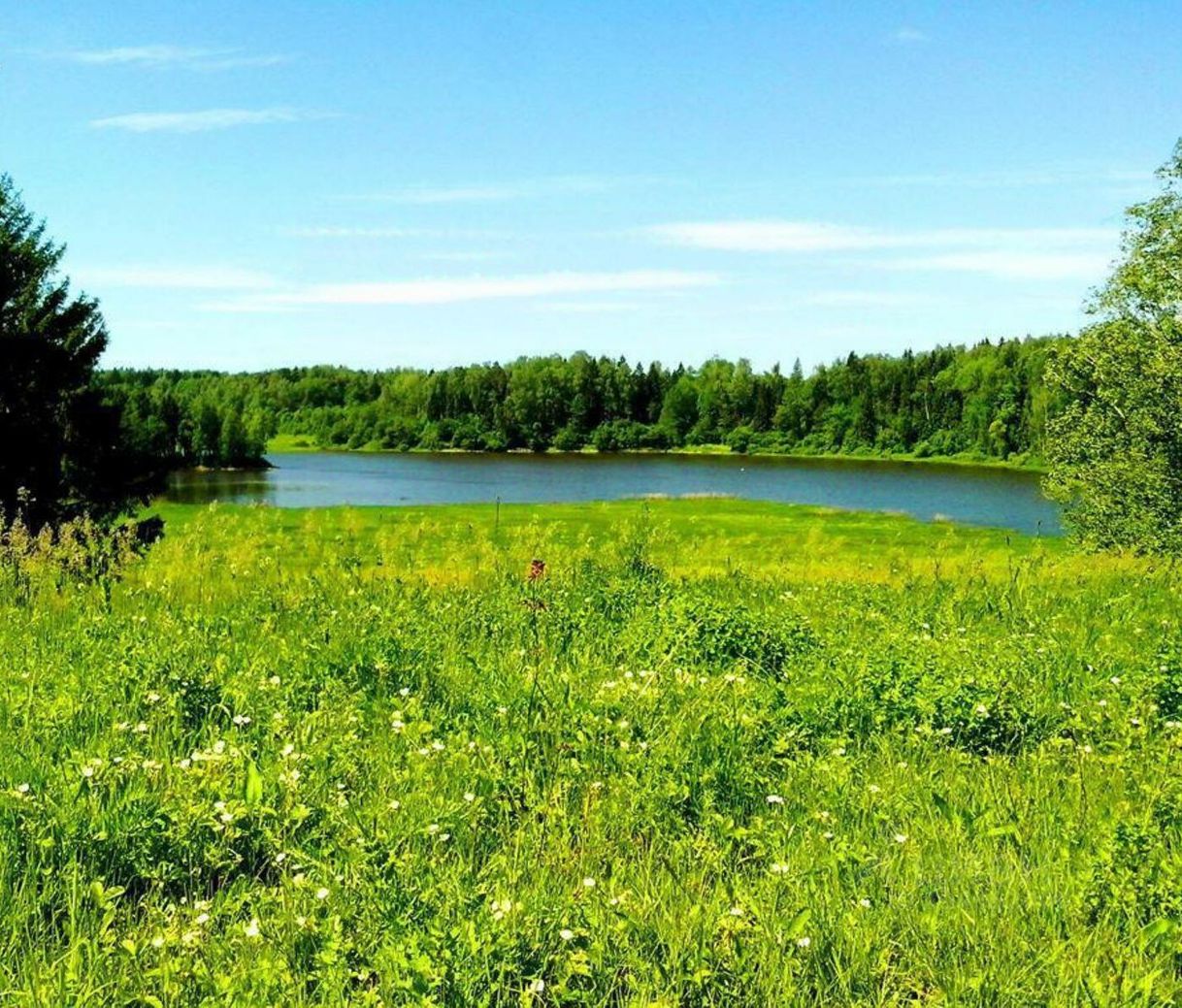 Купить загородную недвижимость в селе Излегоще Усманского района, продажа  загородной недвижимости - база объявлений Циан. Найдено 11 объявлений