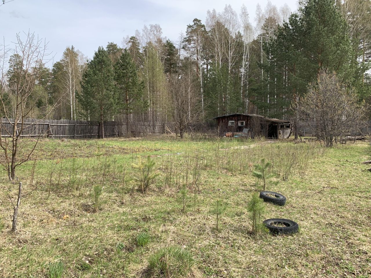 Купить дачный участок в городском округе Верхней Пышме Свердловской  области, продажа участков для дачи. Найдено 115 объявлений.