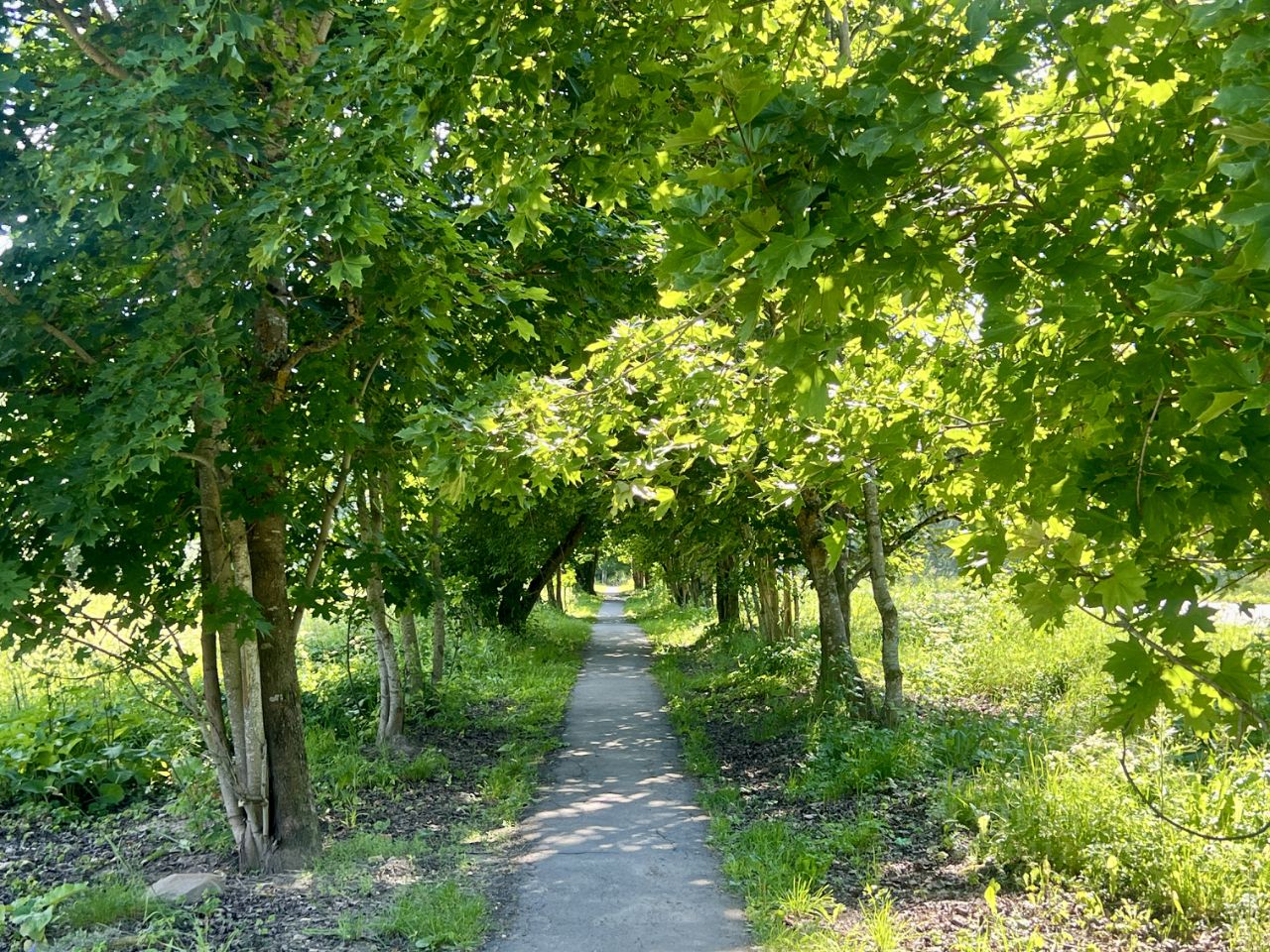 Купить загородную недвижимость в поселке Калитино Волосовского района,  продажа загородной недвижимости - база объявлений Циан. Найдено 4 объявления