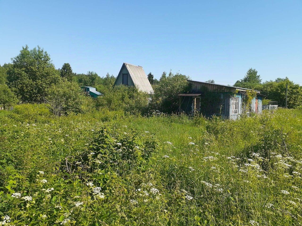 Купить загородную недвижимость в деревне Бакшейка Костромского района,  продажа загородной недвижимости - база объявлений Циан. Найдено 1 объявление