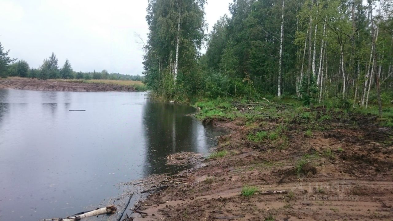 Купить земельный участок в деревне Кисельня Волховского района, продажа  земельных участков - база объявлений Циан. Найдено 2 объявления