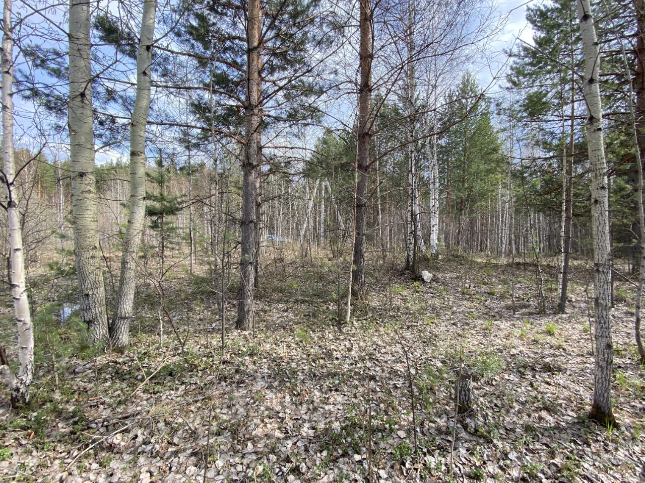 Купить земельный участок СНТ в городском округе Березовском Свердловской  области, продажа участков под садоводство. Найдено 38 объявлений.