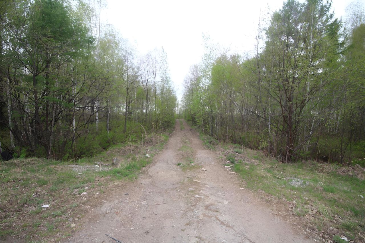 Купить загородную недвижимость в селе Князе-Волконское Хабаровского района,  продажа загородной недвижимости - база объявлений Циан. Найдено 7 объявлений