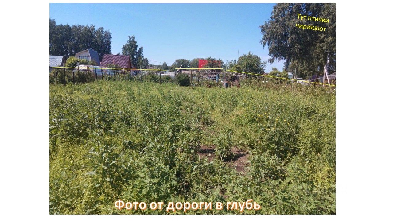 Купить загородную недвижимость в СНТ Колос городского округа Кольцово,  продажа загородной недвижимости - база объявлений Циан. Найдено 7 объявлений