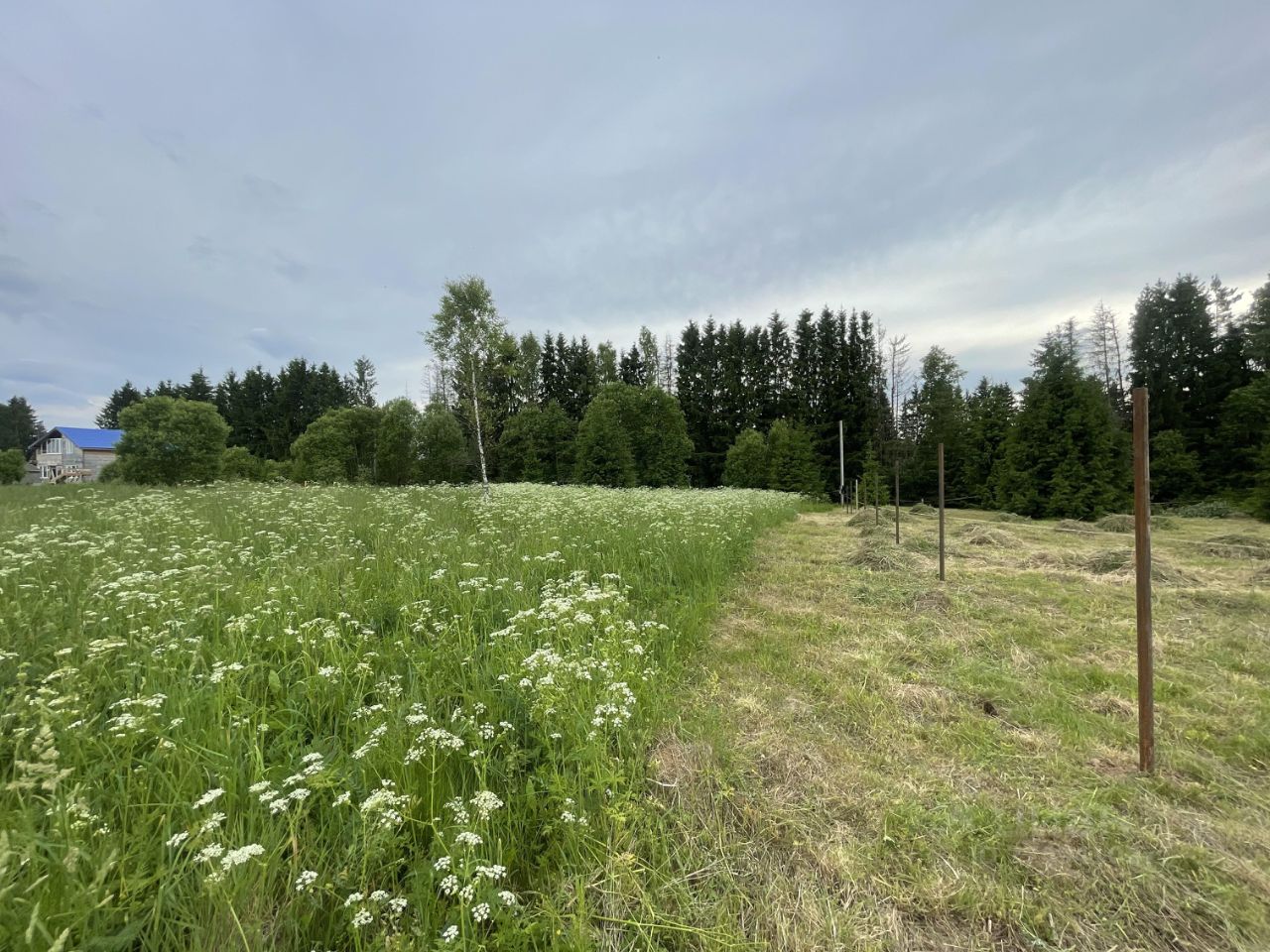 Купить загородную недвижимость в деревне Коровино Московской области,  продажа загородной недвижимости - база объявлений Циан. Найдено 1 объявление