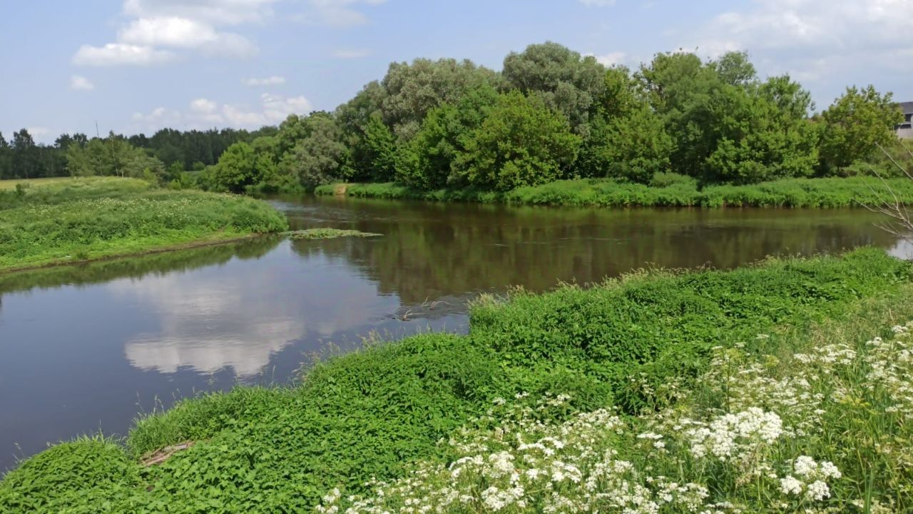 Купить земельный участок в Лосино-Петровском, продажа земельных участков -  база объявлений Циан. Найдено 252 объявления