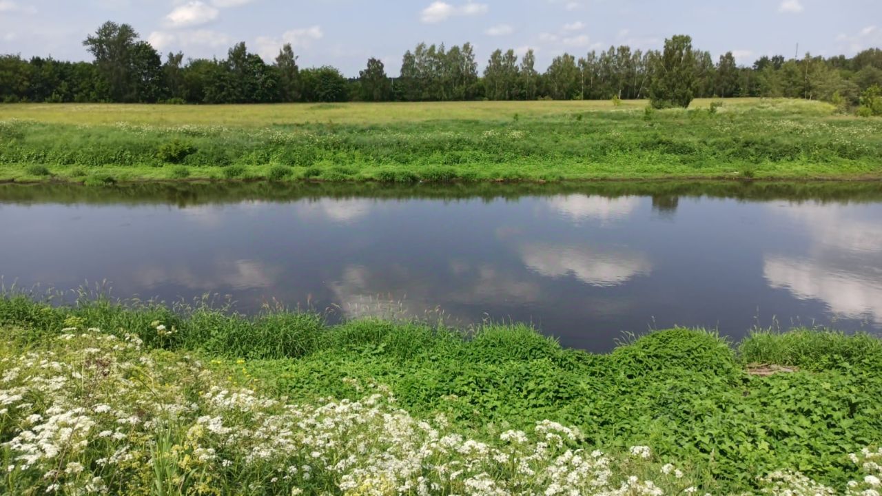 Купить земельный участок в Лосино-Петровском, продажа земельных участков -  база объявлений Циан. Найдено 252 объявления