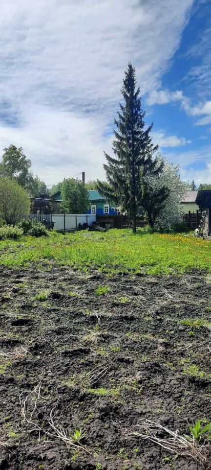 На фотографии виден участок земли с ухоженной травой и цветами. В центре расположено большое хвойное дерево, создающее тень. На заднем плане виден дом с зеленой крышей и голубыми стенами, который выполнен в традиционном русском стиле. Также присутствует забор, ограждающий участок. Участок выглядит ухоженным, с небольшими грядками и ровной поверхностью земли, что свидетельствует о наличии садоводства или огородничества. Цветовая палитра включает зелёные, коричневые и голубые оттенки, создавая гармоничную атмосферу.