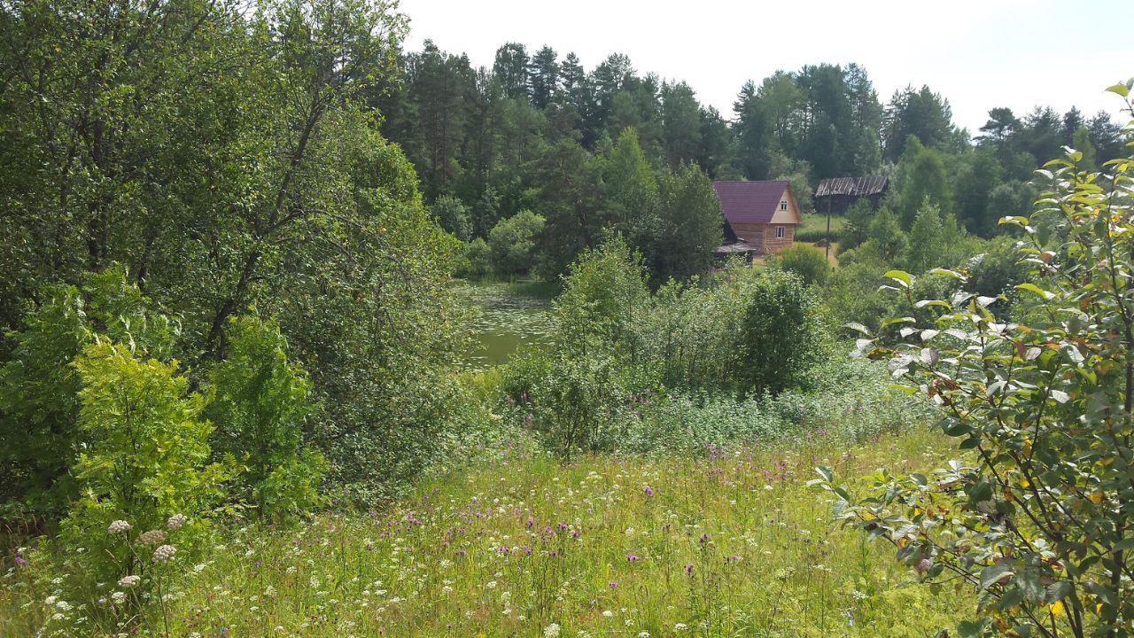 Купить участок 12 соток в Лодейнопольском районе Ленинградской области.  Найдено 4 объявления.