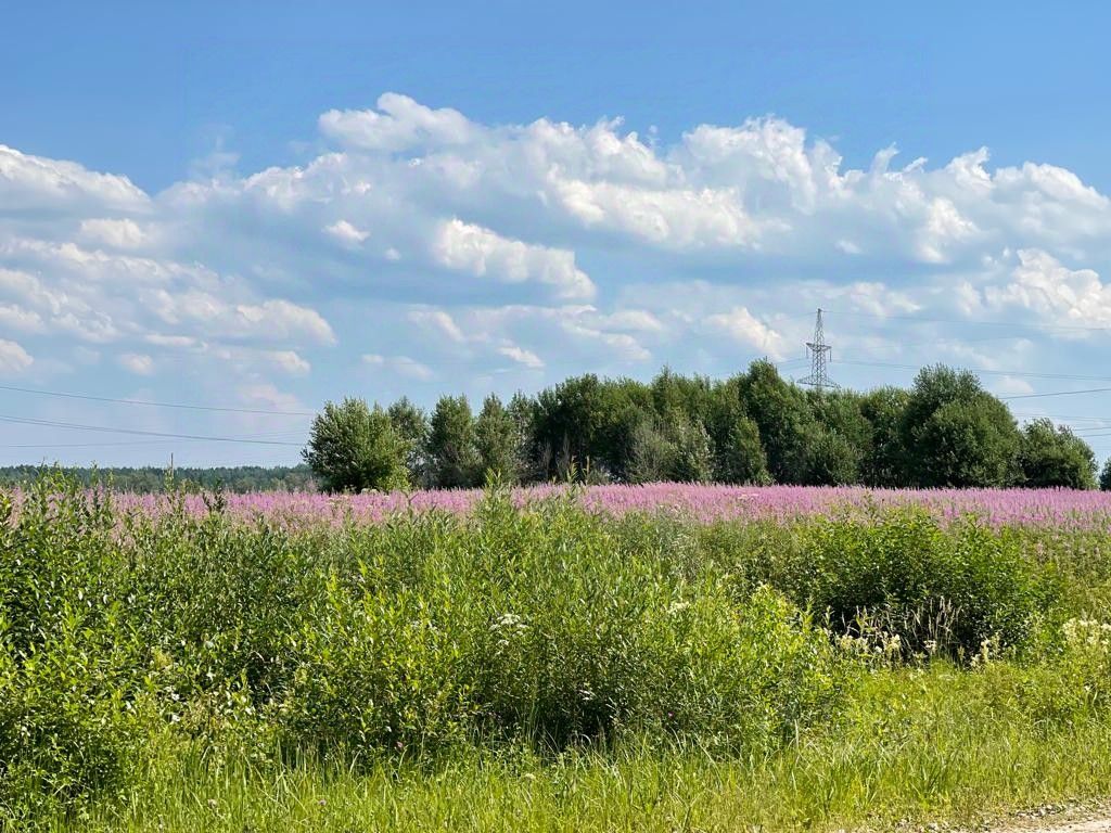 Купить участок 12 соток в поселке городского типа Красный Бор Тосненского  района. Найдено 5 объявлений.