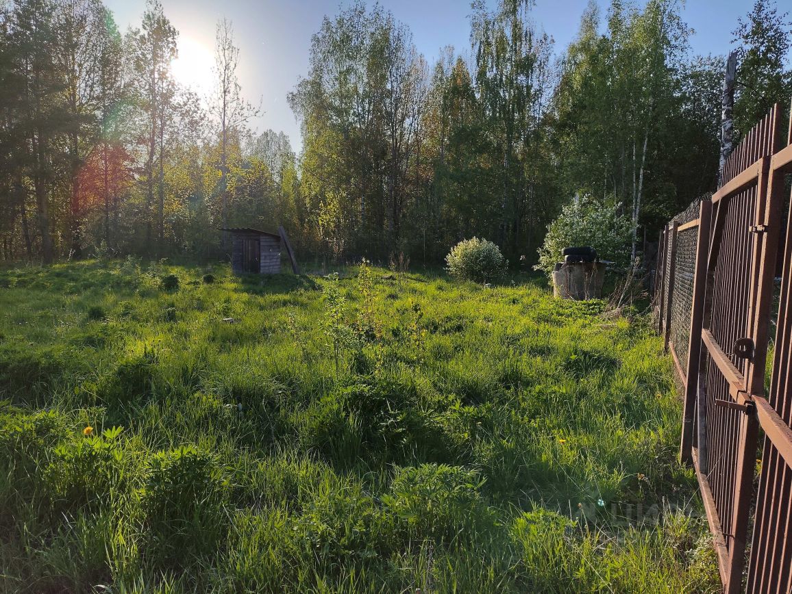 Купить земельный участок ИЖС в поселке городского типа Красный Бор  Тосненского района, продажа участков под строительство. Найдено 12  объявлений.