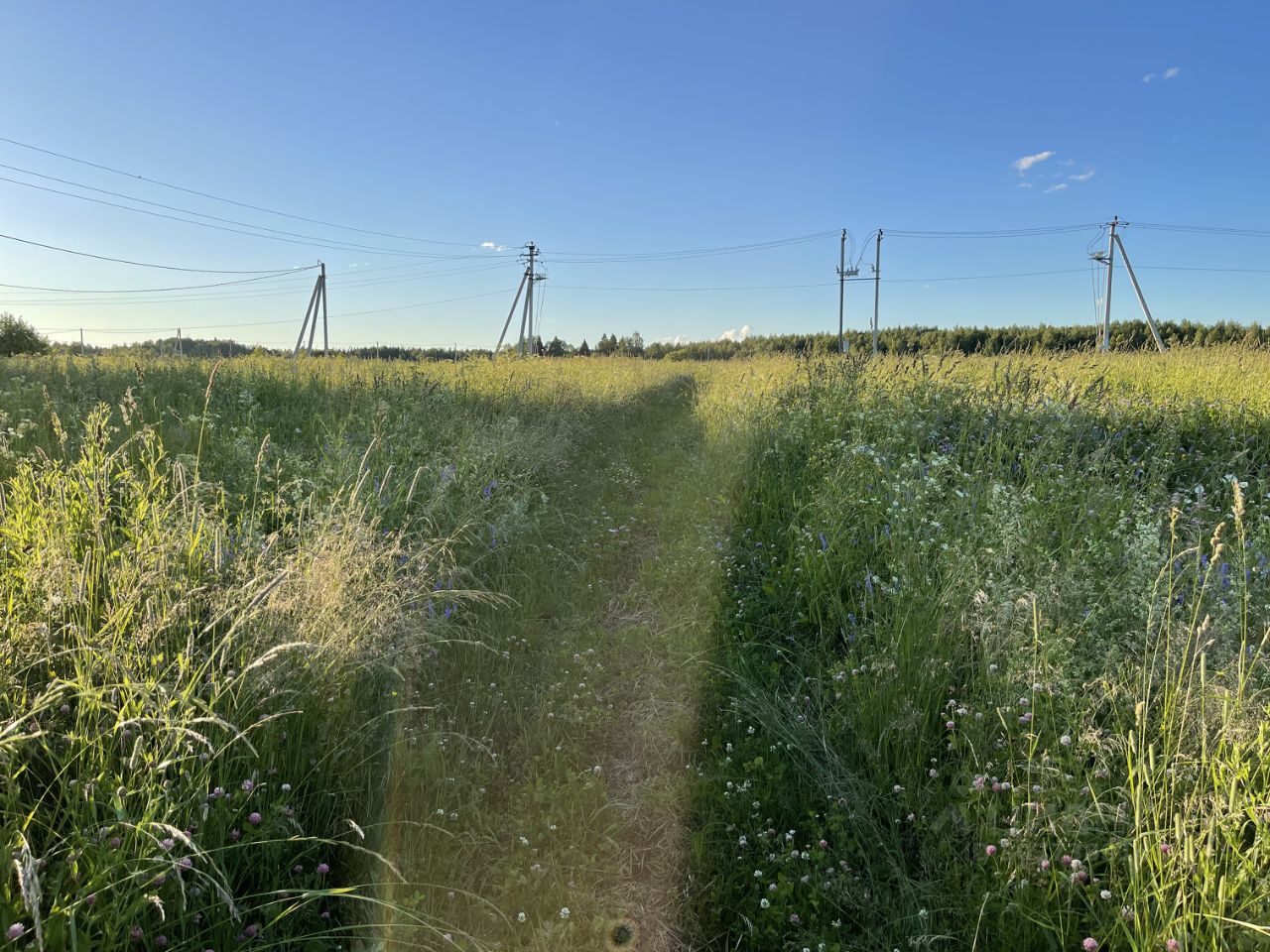 Купить участок 10 соток в деревне Курово Московской области. Найдено 3  объявления.