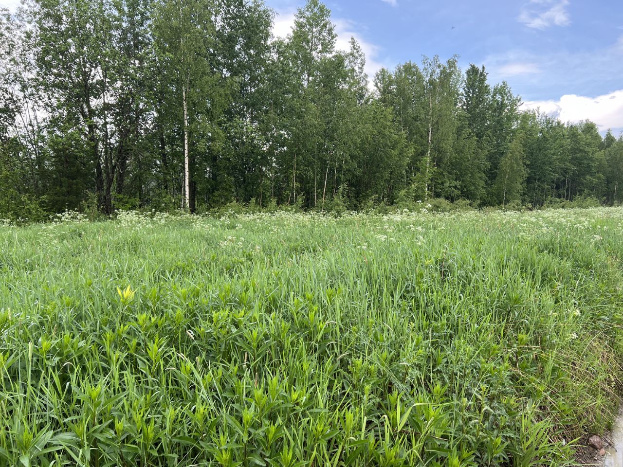 Купить загородную недвижимость в коттеджном поселке Ладожские берега в  городском поселении Рахьинское, продажа загородной недвижимости - база  объявлений Циан. Найдено 3 объявления