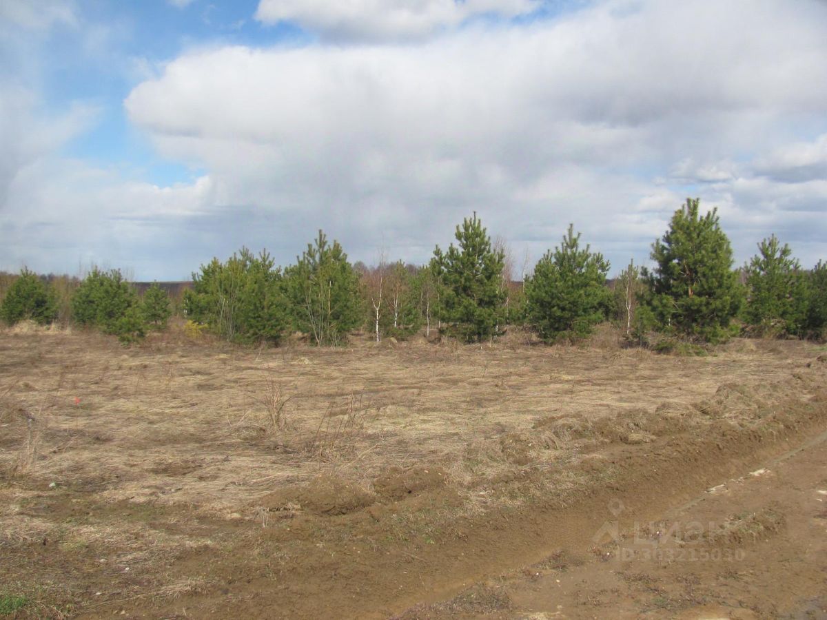 Купить загородную недвижимость в Заокском районе Тульской области, продажа  загородной недвижимости - база объявлений Циан. Найдено 3 486 объявлений