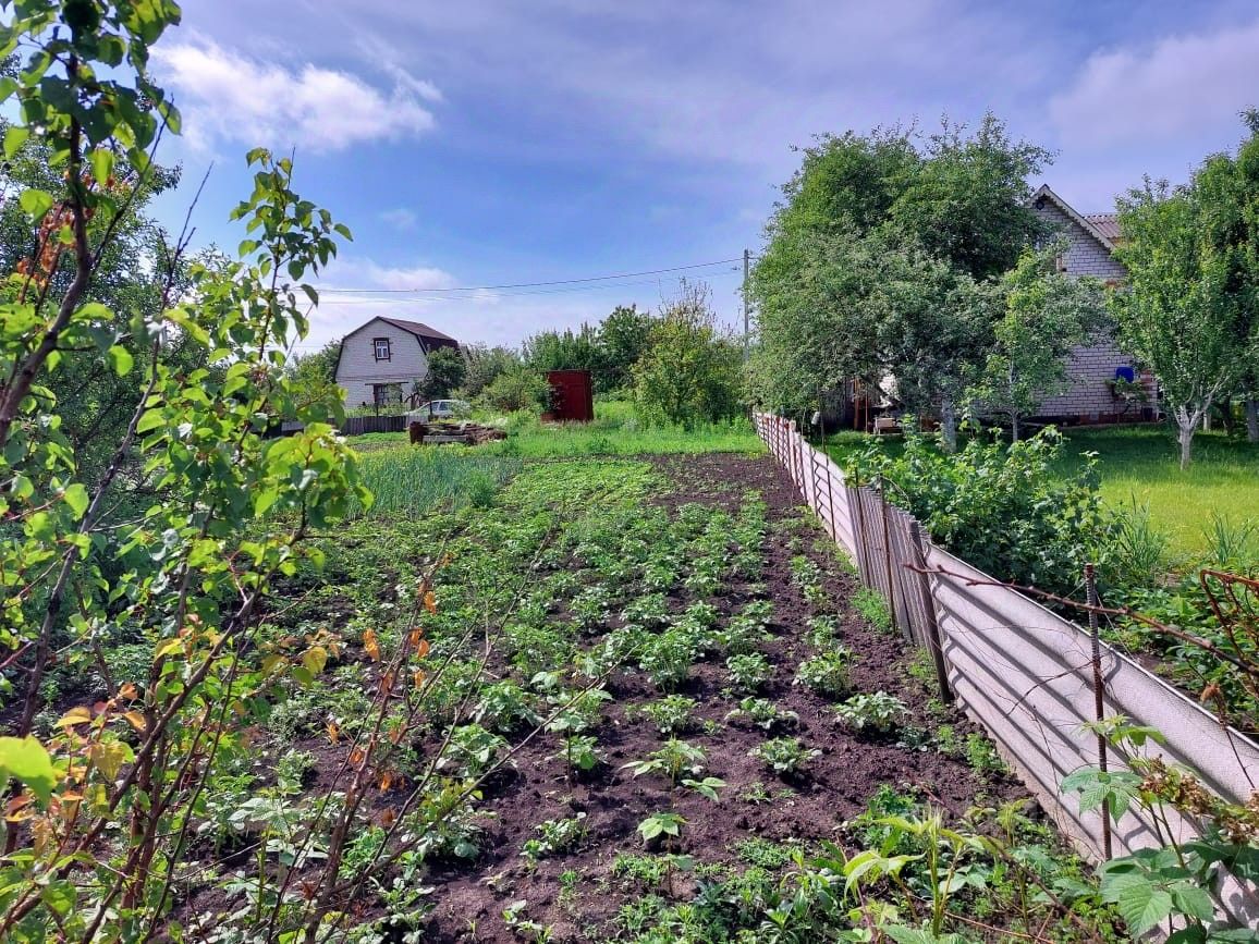 Купить загородную недвижимость в СНТ Лавсан в городе Курск, продажа  загородной недвижимости - база объявлений Циан. Найдено 11 объявлений