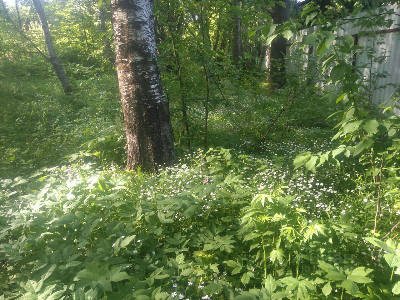 Купить загородную недвижимость в СНТ Ленинец городского округа  Сергиево-Посадского, продажа загородной недвижимости - база объявлений  Циан. Найдено 2 объявления