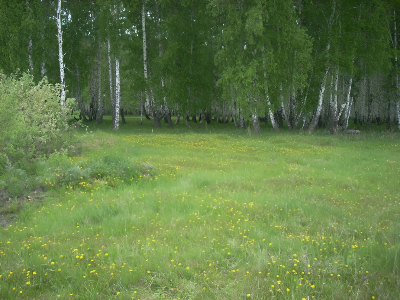 Участки около москвы