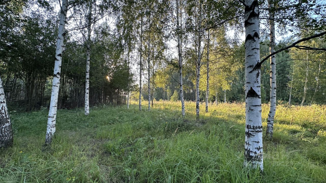 Купить загородную недвижимость в квартале Лесной Массив в деревне  Ларионово, продажа загородной недвижимости - база объявлений Циан. Найдено  2 объявления