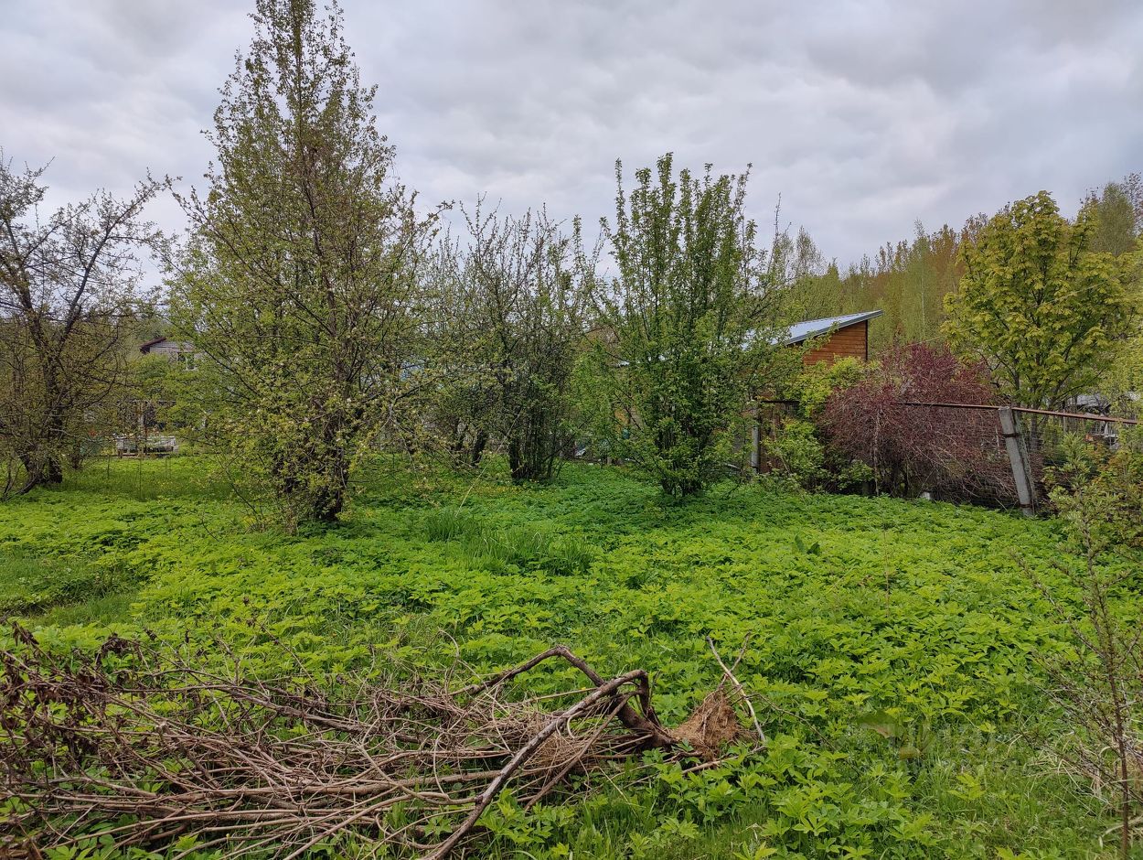 Купить загородную недвижимость в СНТ Лесные Дали в поселении  Новофедоровское, продажа загородной недвижимости - база объявлений Циан.  Найдено 3 объявления