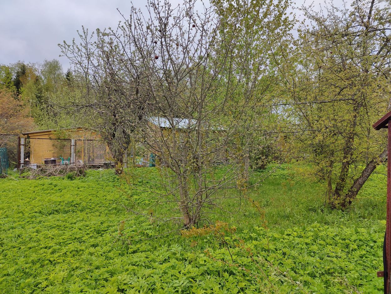 Купить загородную недвижимость в СНТ Лесные Дали в поселении  Новофедоровское, продажа загородной недвижимости - база объявлений Циан.  Найдено 3 объявления