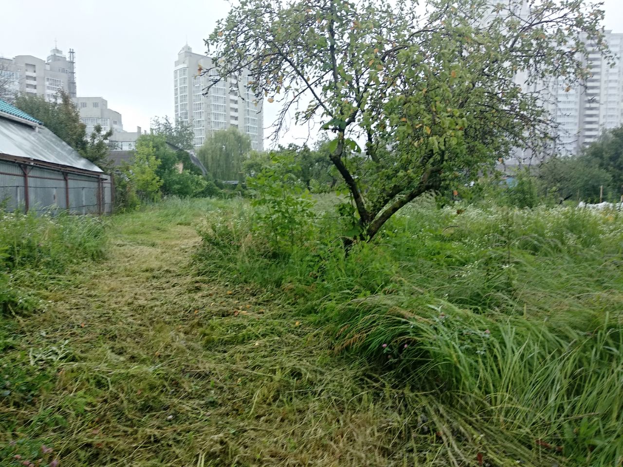 Купить загородную недвижимость на улице Небесная в городе Липецк, продажа  загородной недвижимости - база объявлений Циан. Найдено 2 объявления