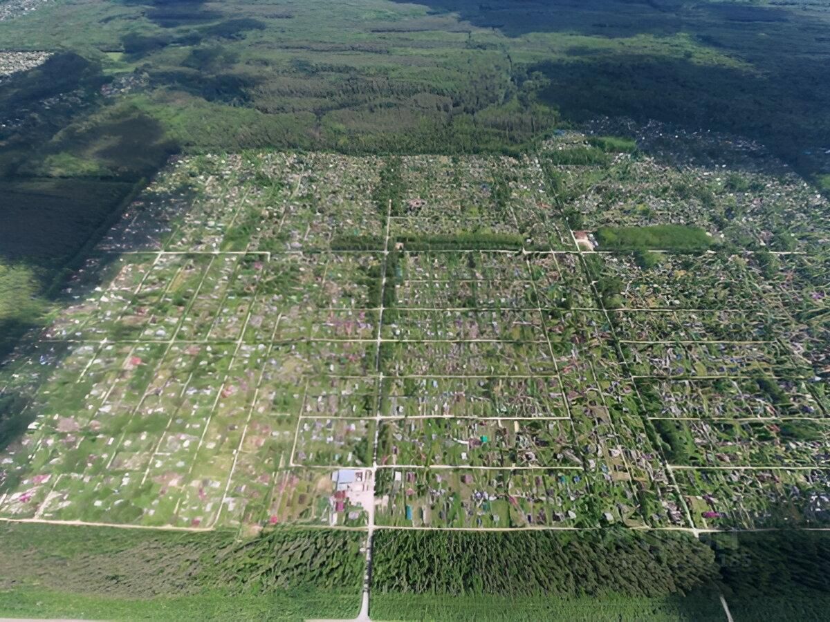 Купить загородную недвижимость на линии 13-я в СНТ ЛОМО в садоводческом  массиве Чаща, продажа загородной недвижимости - база объявлений Циан.  Найдено 1 объявление