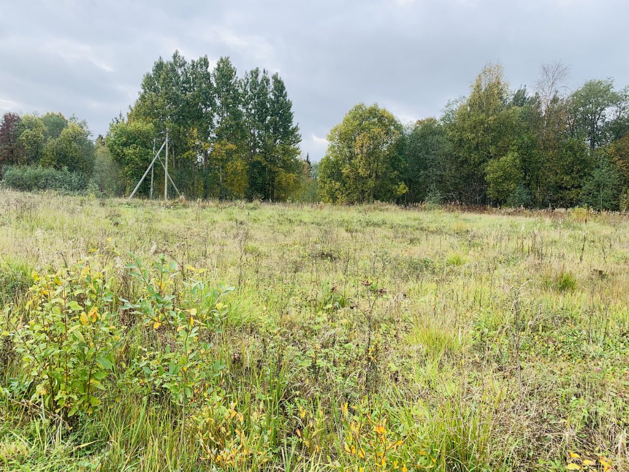 Купить загородную недвижимость в коттеджном поселке Хутор близ Извары в  сельском поселении Лопухинское, продажа загородной недвижимости - база  объявлений Циан. Найдено 5 объявлений