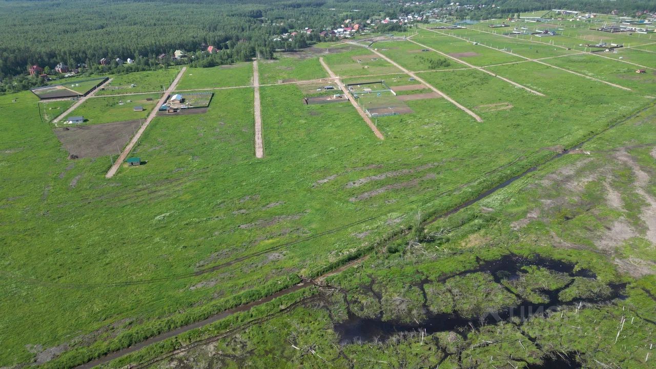 Купить дачный участок в поселке ЛПХ Ольгино-2 Московской области, продажа  участков для дачи. Найдено 1 объявление.