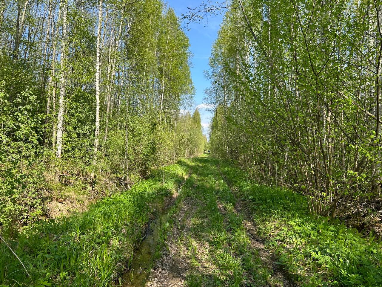 Купить земельный участок в садовое товарищество Луч городского округа  Лотошино, продажа земельных участков - база объявлений Циан. Найдено 3  объявления