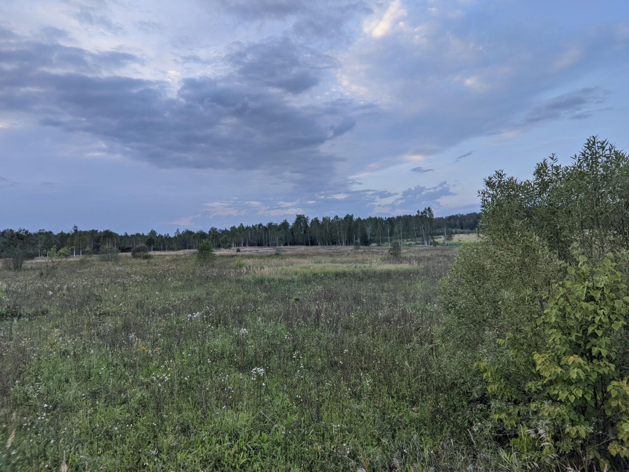 Купить участок 50 соток в городском округе Наро-Фоминском Московской  области. Найдено 4 объявления.