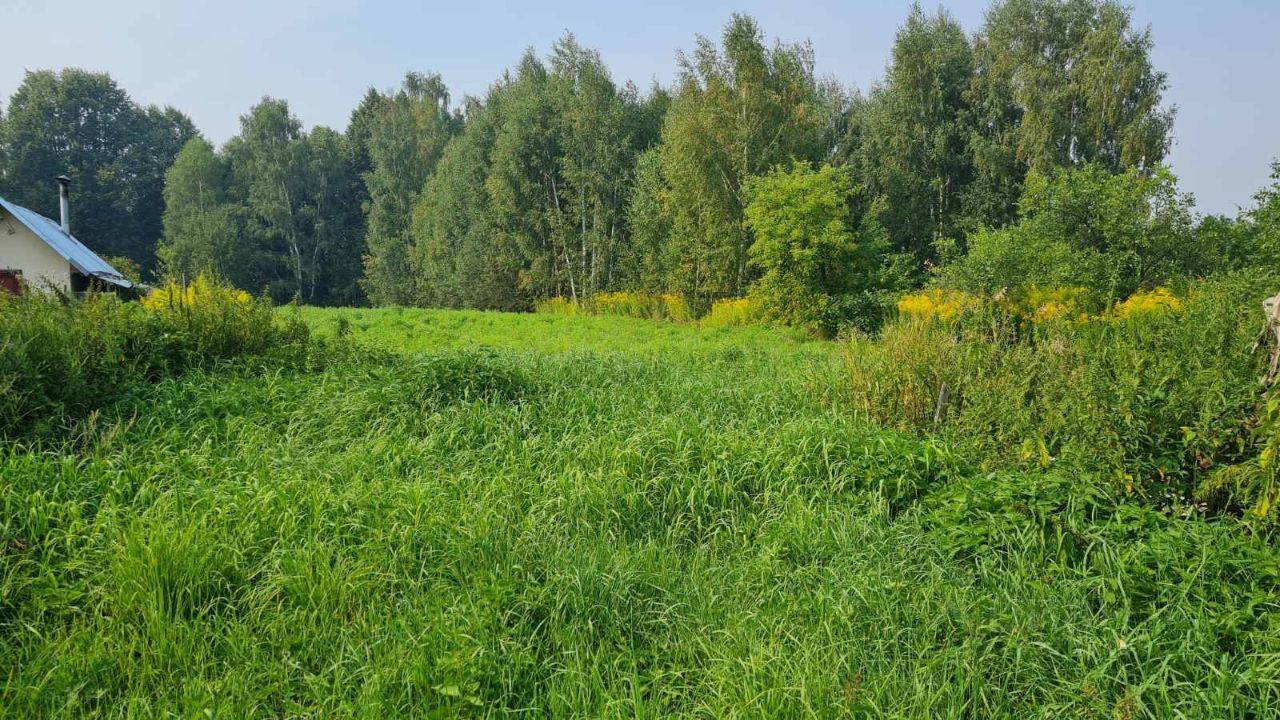 Купить земельный участок в деревне Макарово Нижегородской области, продажа  земельных участков - база объявлений Циан. Найдено 3 объявления