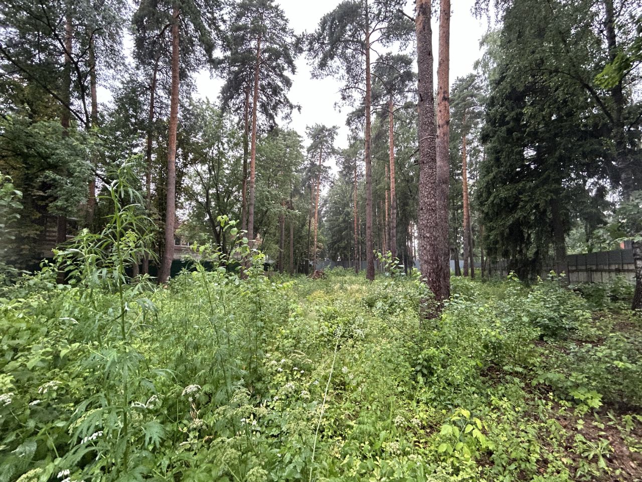 Купить загородную недвижимость на улице Чехова в рабочем поселке Малаховка,  продажа загородной недвижимости - база объявлений Циан. Найдено 2 объявления