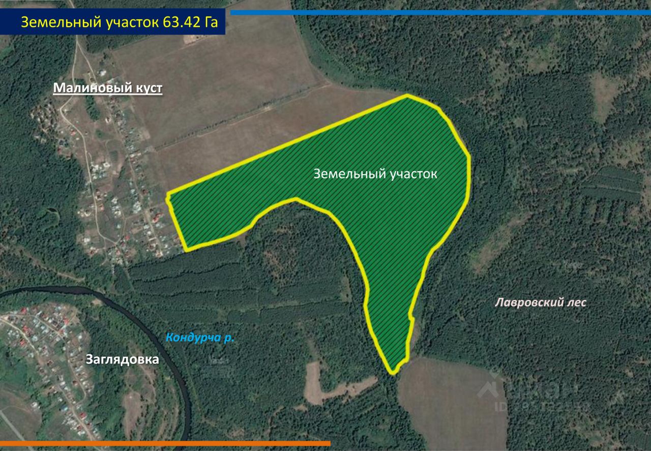 Продаю участок 63,4га Самарская область, Красноярский район, Светлое Поле  с/пос, Малиновый Куст деревня - база ЦИАН, объявление 295122590