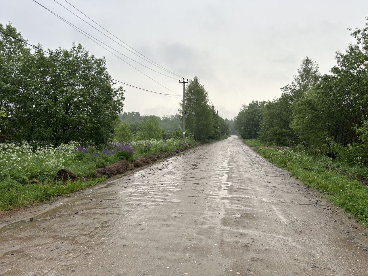 Купить земельный участок СНТ в Александрове, продажа участков под  садоводство. Найдено 275 объявлений.