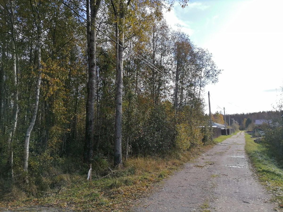 Купить загородную недвижимость в СНТ Маяк в сельском поселении  Ларионовское, продажа загородной недвижимости - база объявлений Циан.  Найдено 3 объявления