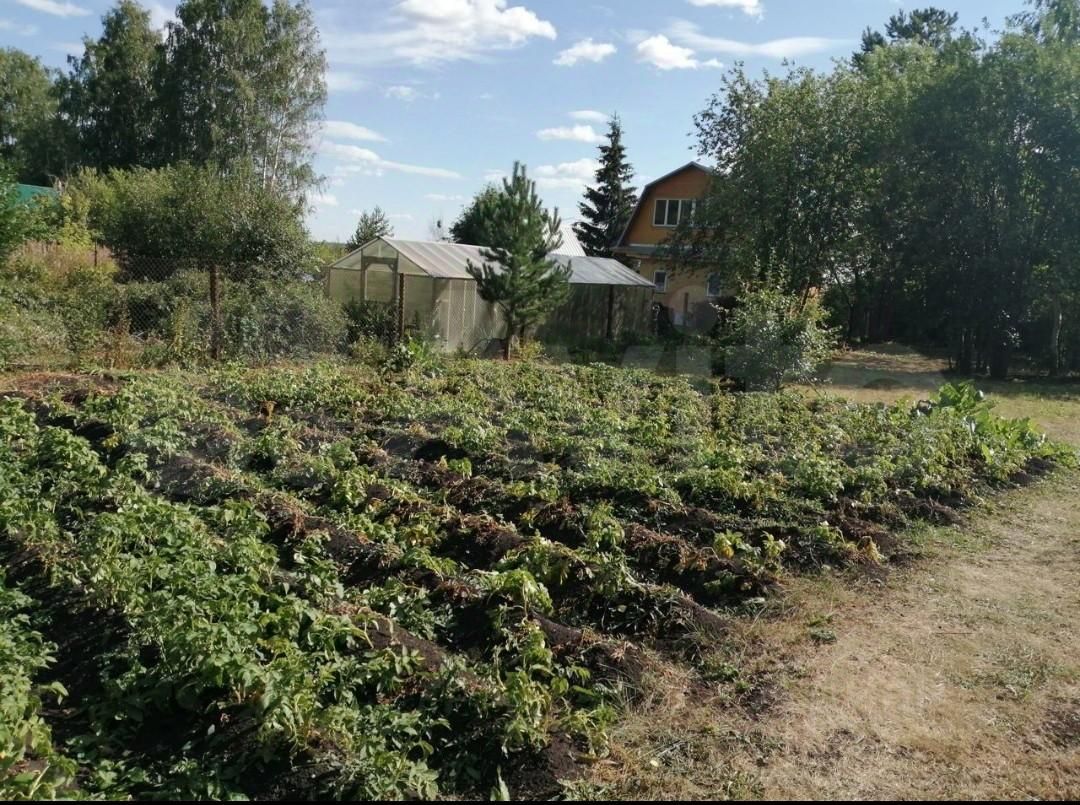 Купить земельный участок в СНТ Мечта городского округа Белоярского, продажа  земельных участков - база объявлений Циан. Найдено 2 объявления