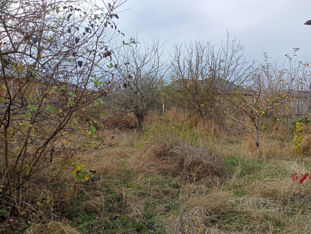 Купить загородную недвижимость в садовое товарищество Мечта в городе  Ставрополь, продажа загородной недвижимости - база объявлений Циан. Найдено  4 объявления