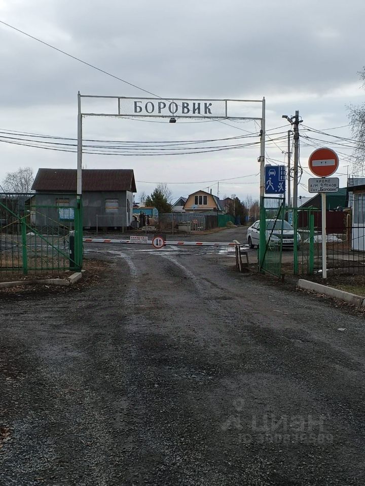 На фотографии виден вход в жилой комплекс с аркой, на которой написано 'Боровик'. Арка выполнена из металлических конструкций, окрашенных в белый цвет. Вокруг арки расположены зеленые металлические ворота, открывающие доступ к дороге, выложенной гравием. На заднем плане видны несколько домов с простыми архитектурными формами и крышей из металлочерепицы. Дорога ведет к шлагбауму, который ограничивает доступ, и дорожным знакам, указывающим на правила движения. Общая атмосфера места создает ощущение спокойного жилого района.